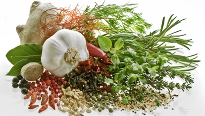 Spices, Herbs, and Condiments