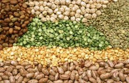 Pulses and Legumes