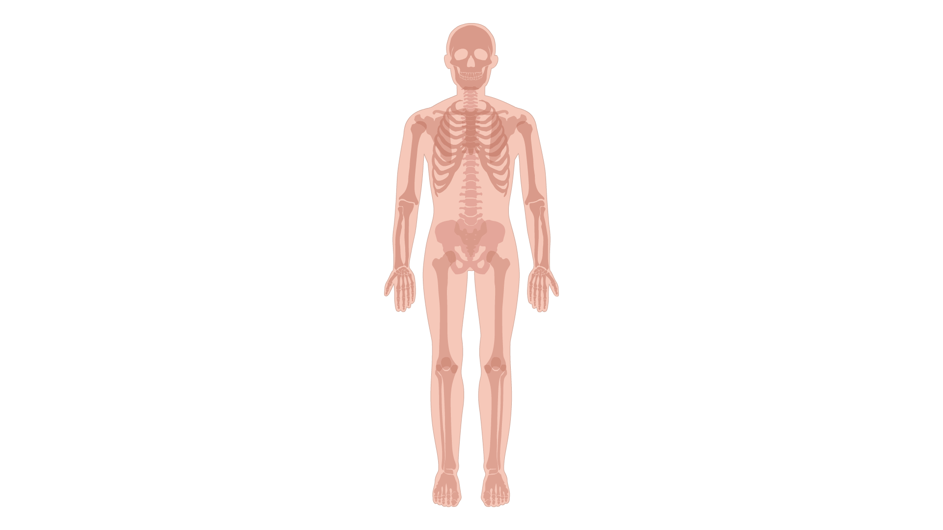 Waist to height measurement reference
