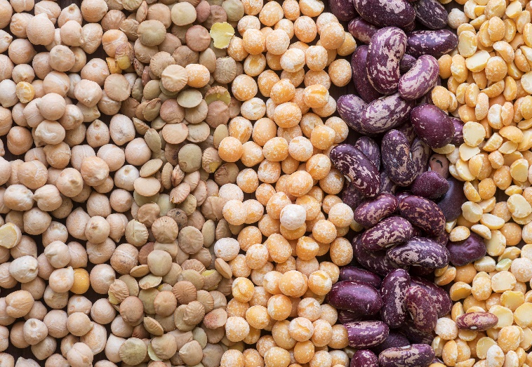 Pulses and Legumes