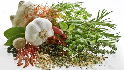 Spices and Herbs